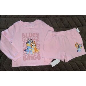 3T Toddler Bluey Set